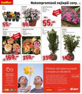 Baumax aktuln letk, strana 6 