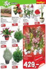 Baumax aktuln letk, strana 23 