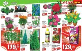 Baumax aktuln letk, strana 17 